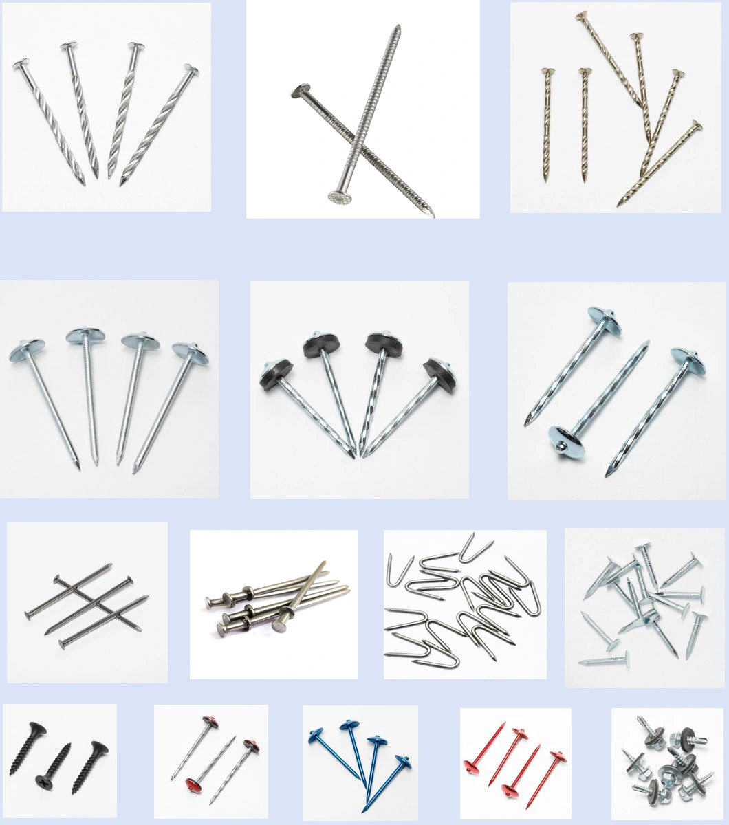 Shandong Factory Sell Good Quality Polished Duplex Head Nail Two Double Head Nails