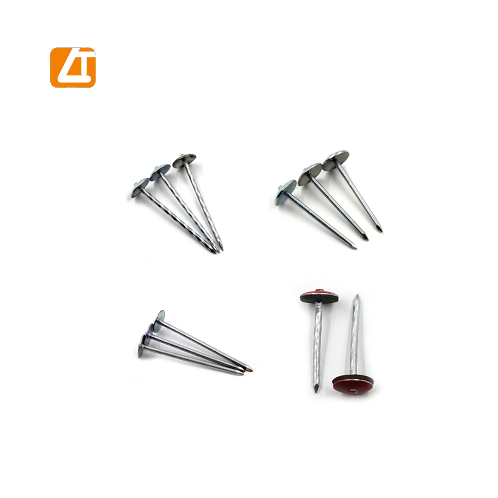 Eg. Umbrella Head Roofing Nails Twisted Shank