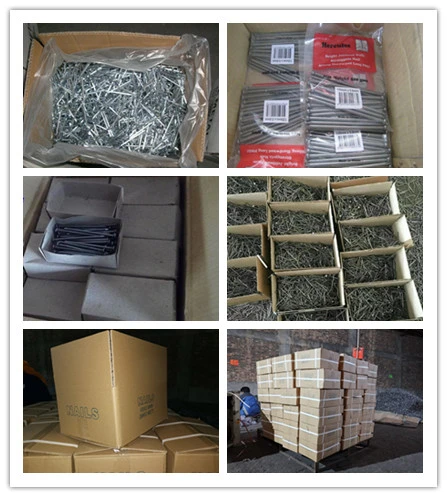 High Quality U Type Nails/Fence Staples/U Shaped Nails