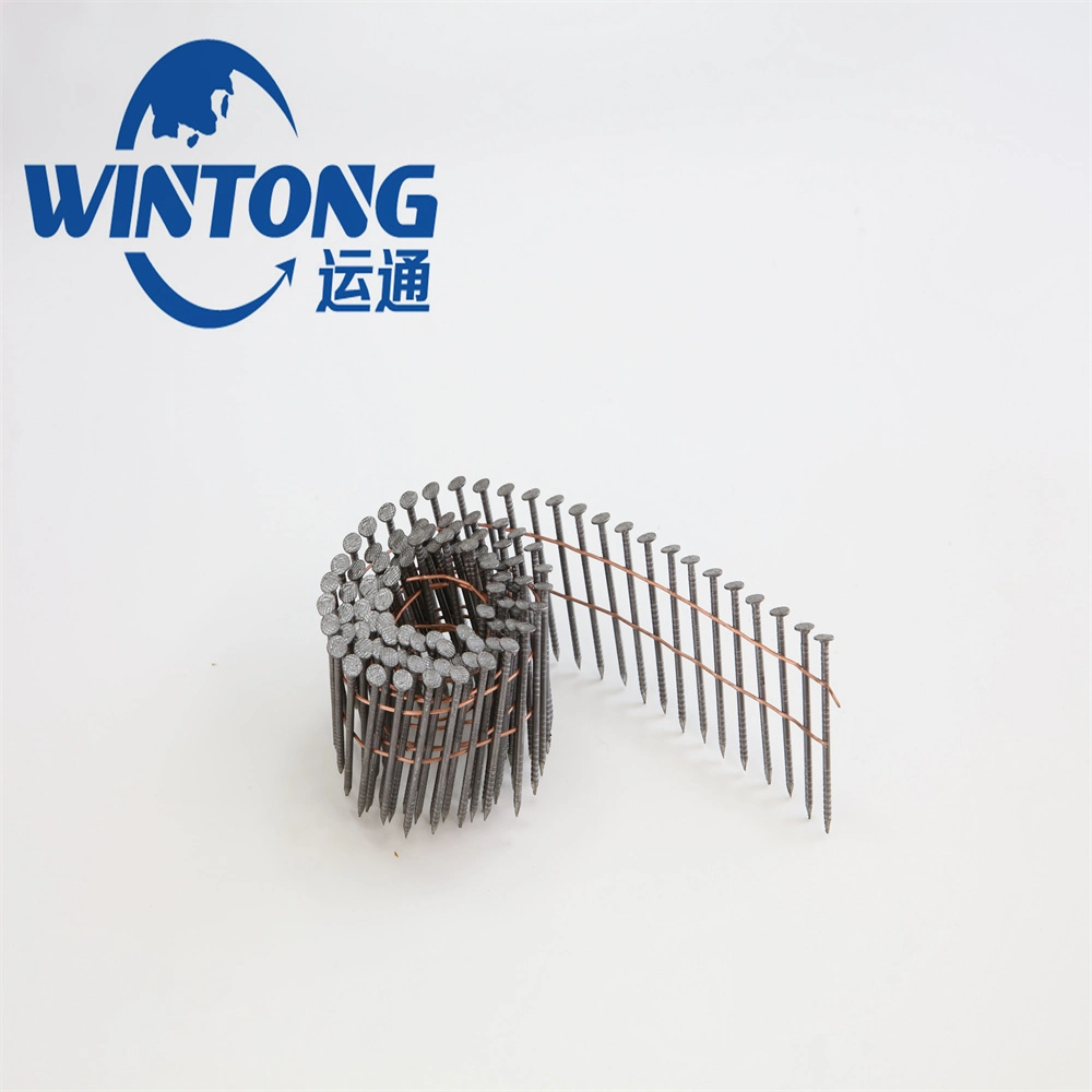 Polished Corrosion Resistant/Special for Packing Pallet/Galvanized Coil Nail