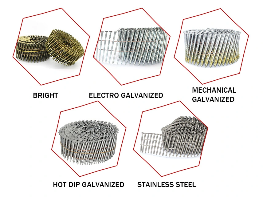 Galvanized Pneumatic Screw Shank Pallet Common Coil Nails