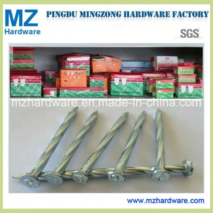 45# 9g 10g 12g 3/4" 1" 1.5" 2" 2.5" 3" High Quality Carbon Steel /Concrete Steel /Iron /Polished Wire /Common Round/Metal Nail for Building Construction