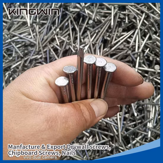 Q195/Q235 Polished Common Nails with 25kg/Carton Bulk Packing