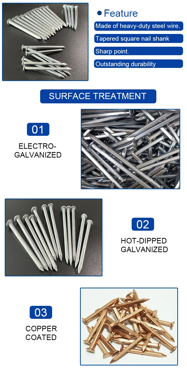 Excellent Quality Galvanized Iron Wire Square Boat Nail Made by Q195 Wire Rod