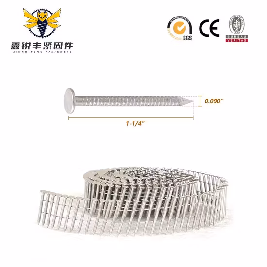 Haste Anel Coil Coil Roofing Prego/ Espiral Prego/ Espiral de Aço Inoxidável