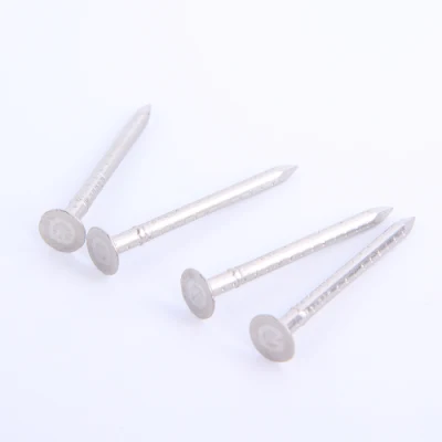 China GB ISO Roofing Nail Frame Concrete Wire Carton Staple Fastener Nails